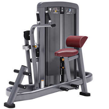 Abdominal Avanzado Serie Insignia - Fitness For Life Mexico