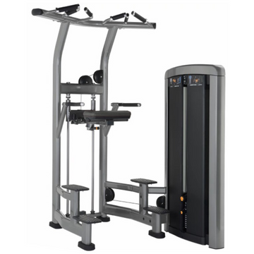Insignia Series Assist Dip Chin Fitness For Life Mexico