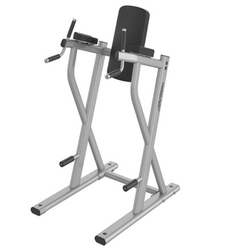 AXIOM Series Dip/Leg Raise Fitness For Life Mexico 