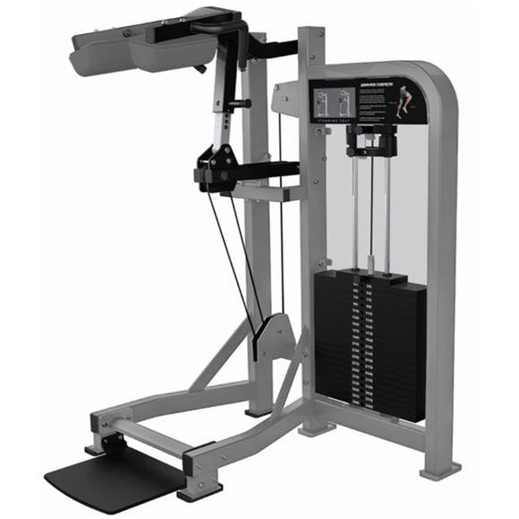 Hammer Strength Select Standing Calf Fitness For Life Mexico